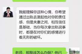 广西调查取证：夫妻一方私自卖房的行为是否有效